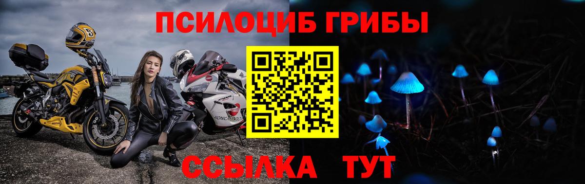 Галлюциногенные грибы GOLDEN TEACHER Пушкино